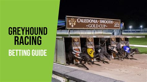 betvictor greyhounds|Greyhound Racing Betting Lines & Greyhounds Odds .